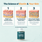Marine Elastin Peptide