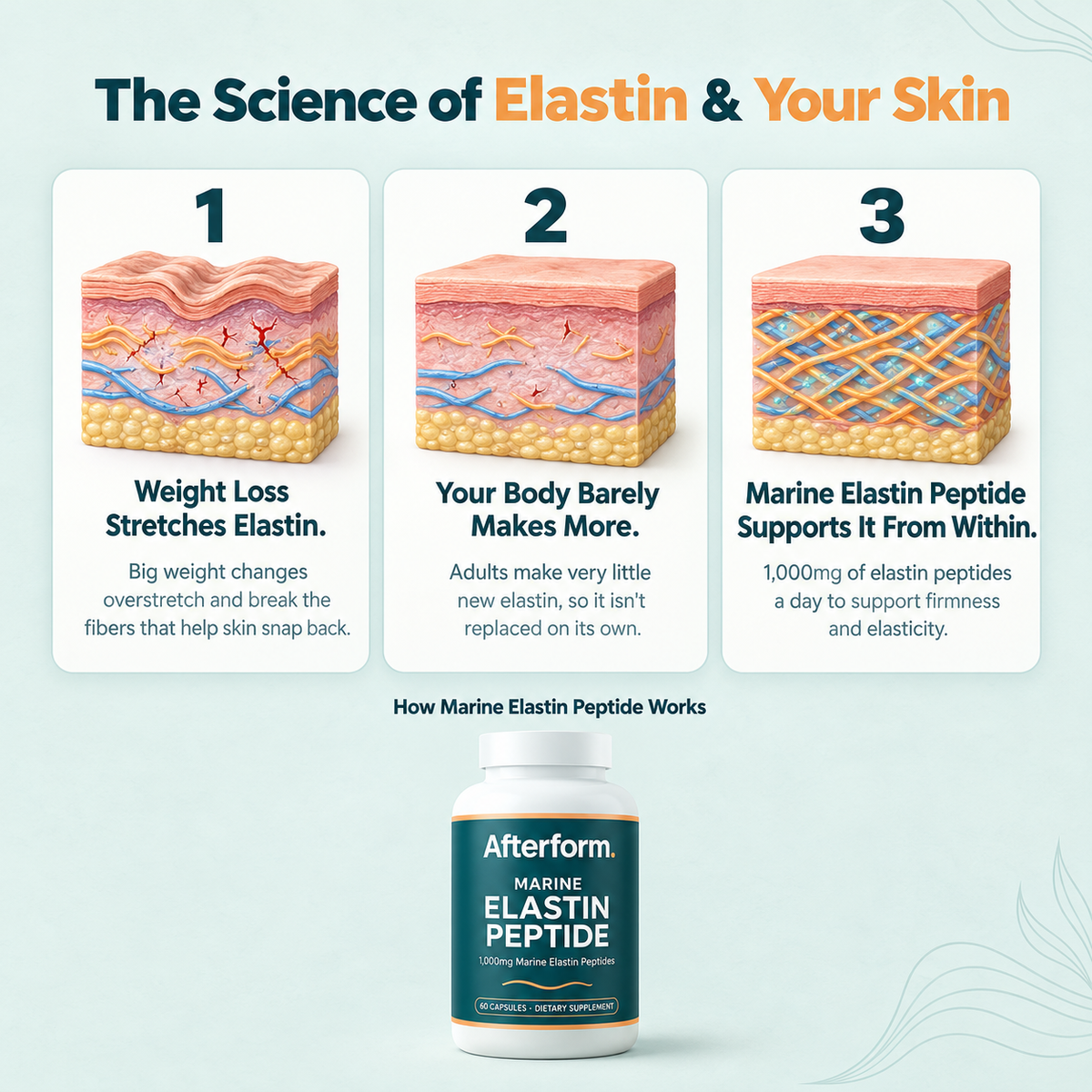 Marine Elastin Peptide